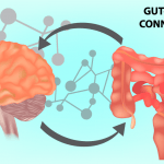 Illustration of the gut-brain connection